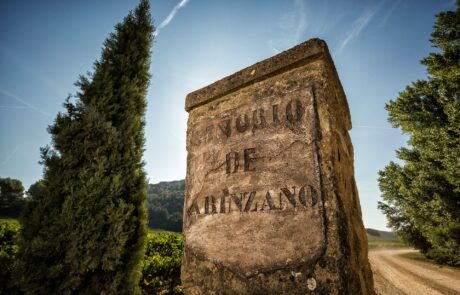 Arínzano