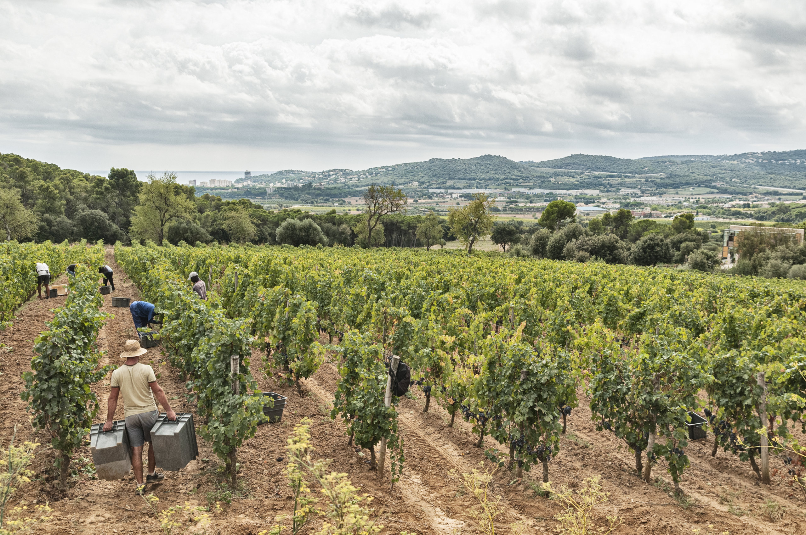vista mediterrano clos d'agon