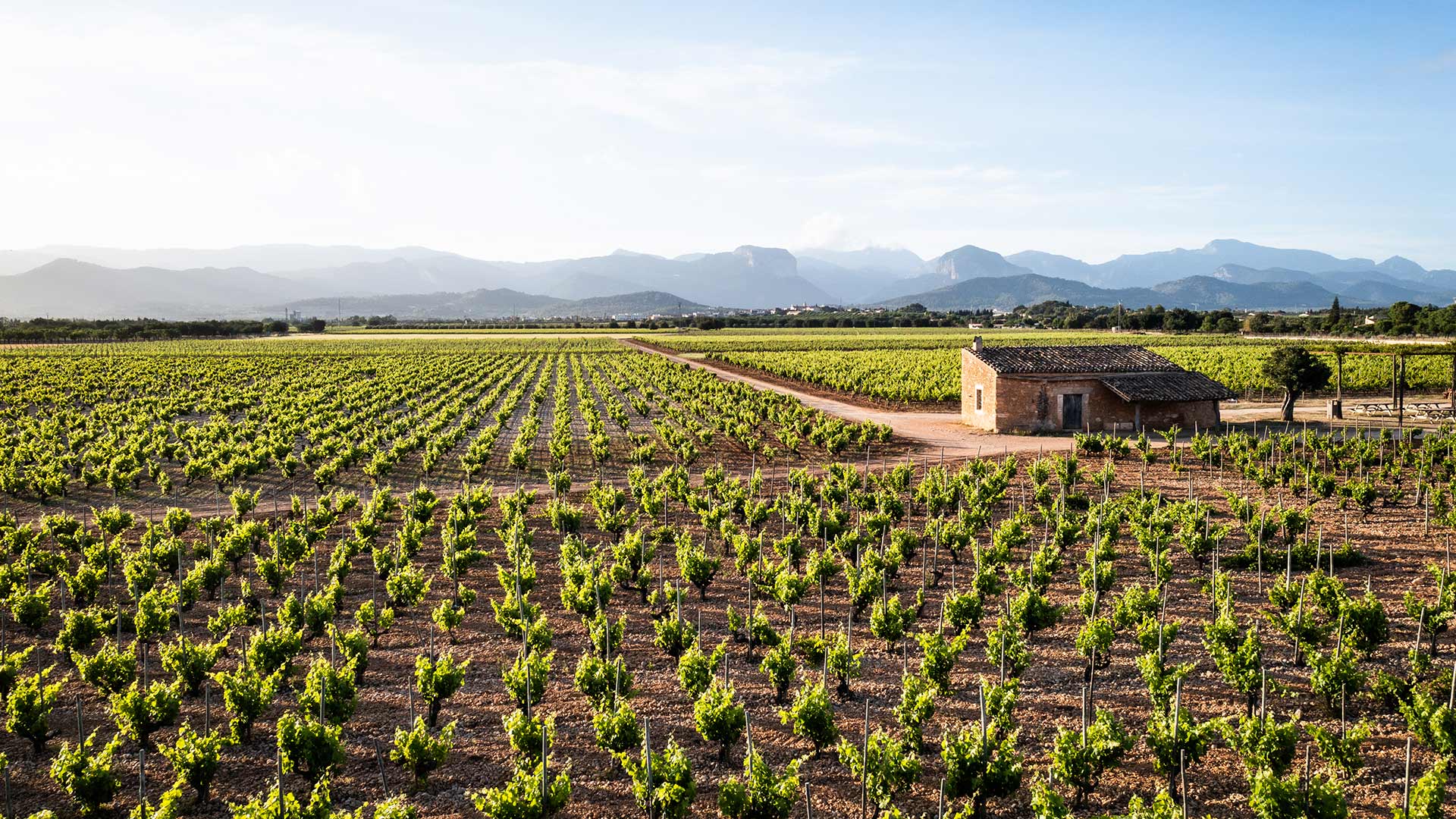 Ribas Winery Grandes Pagos de España