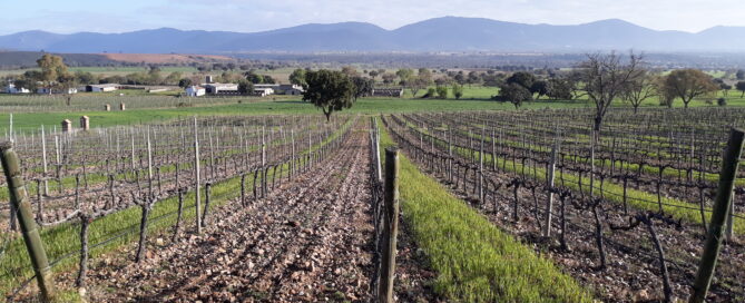 dehesa del carrizal suelo siembra