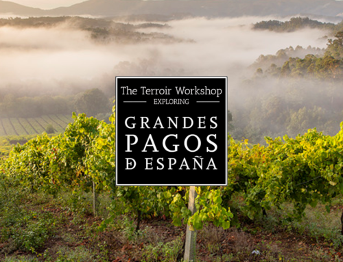 Grandes Pagos de España launches Spanish Terroir workshop led by top educators in US and Mexico