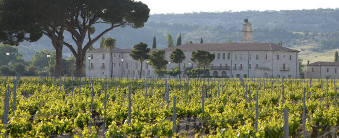 abadía retuerta viñedo