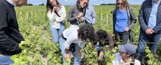 Montrose viticultura equipo GPE