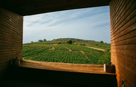 Losada Vinos de Finca